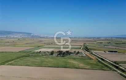 Menemen Tuzçullu 'ya 500 m İki Tarafı Yol Cepheli Fırsat Tarla