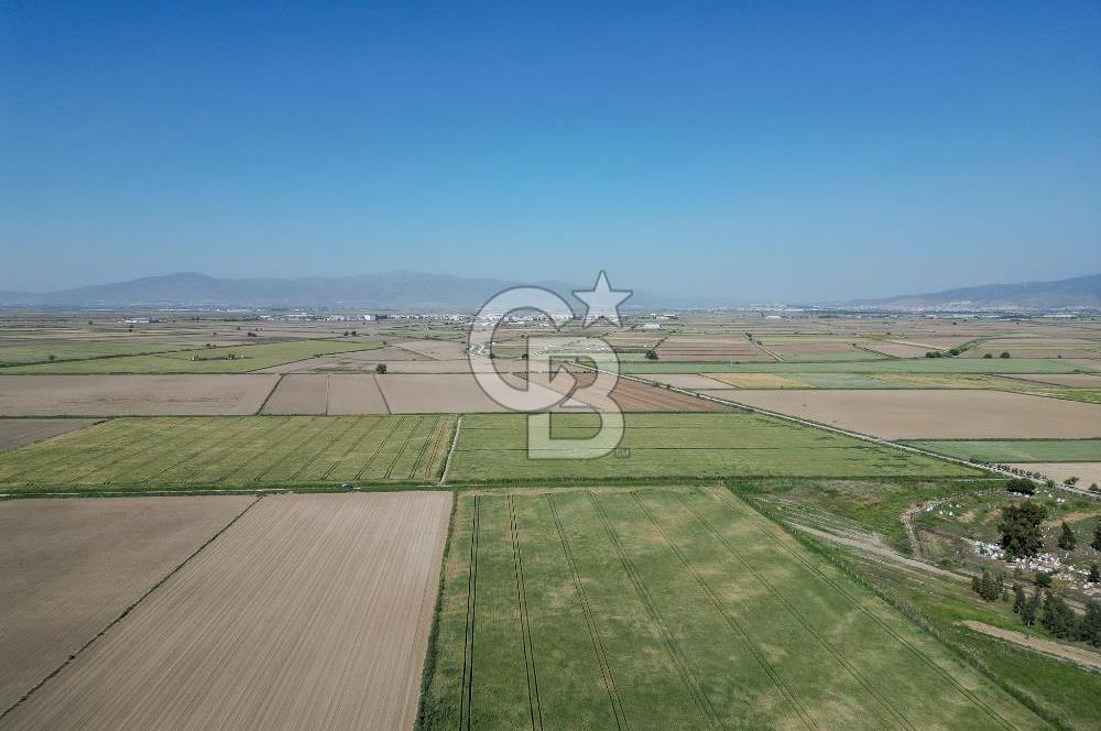 Menemen Tuzçullu 'ya 500 m İki Tarafı Yol Cepheli Fırsat Tarla