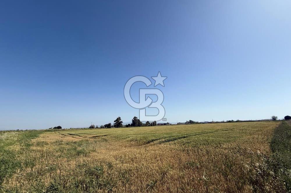 Menemen Tuzçullu 'ya 500 m İki Tarafı Yol Cepheli Fırsat Tarla