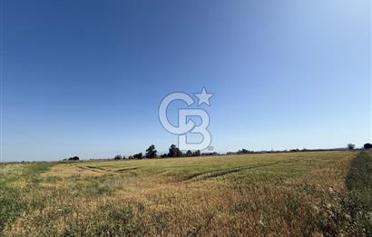 Menemen Tuzçullu 'ya 500 m İki Tarafı Yol Cepheli Fırsat Tarla