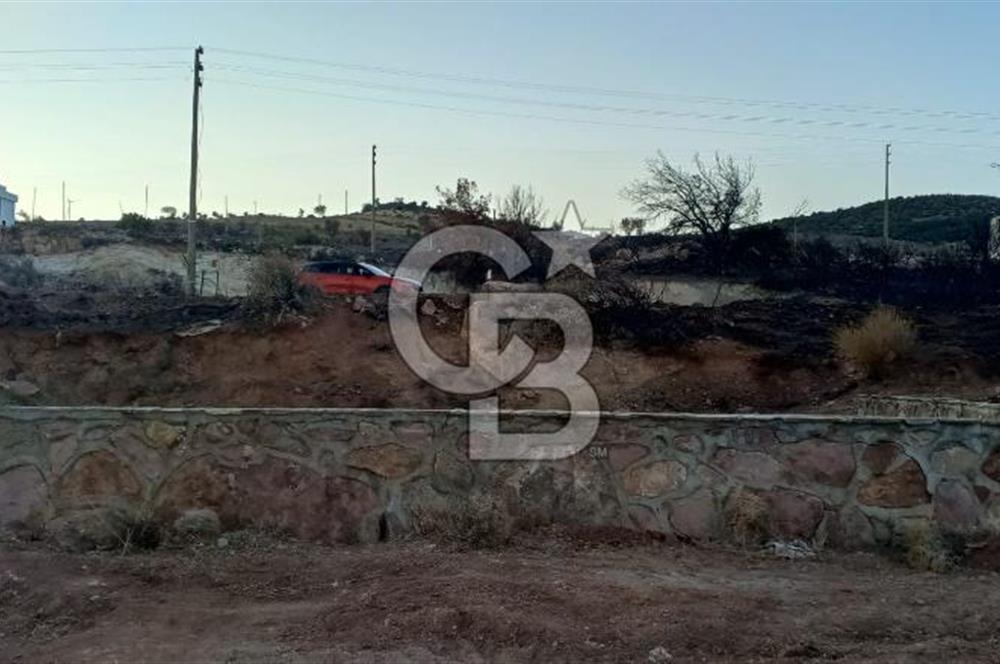 Egenin İncisi Çandarlı da Havuzlu Projeli Araç ve Ev Takaslı