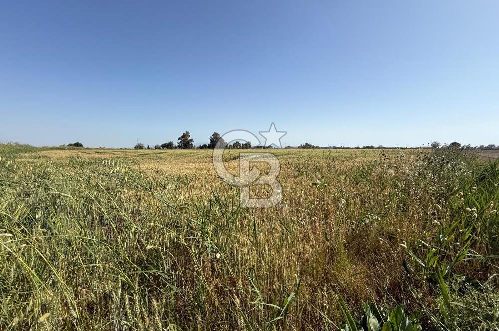 Menemen Tuzçullu 'ya 500 m İki Tarafı Yol Cepheli Fırsat Tarla