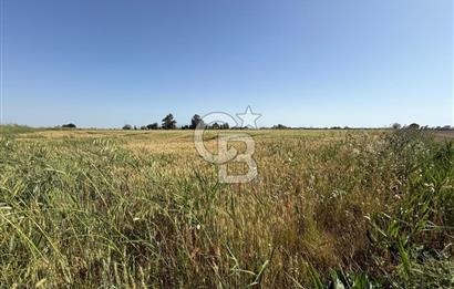 Menemen Tuzçullu 'ya 500 m İki Tarafı Yol Cepheli Fırsat Tarla