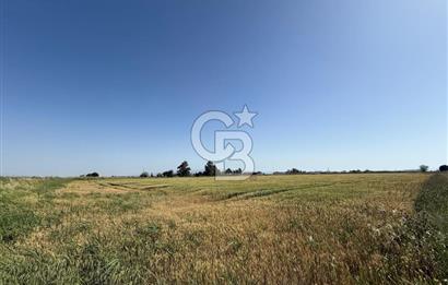 Menemen Tuzçullu 'ya 500 m İki Tarafı Yol Cepheli Fırsat Tarla