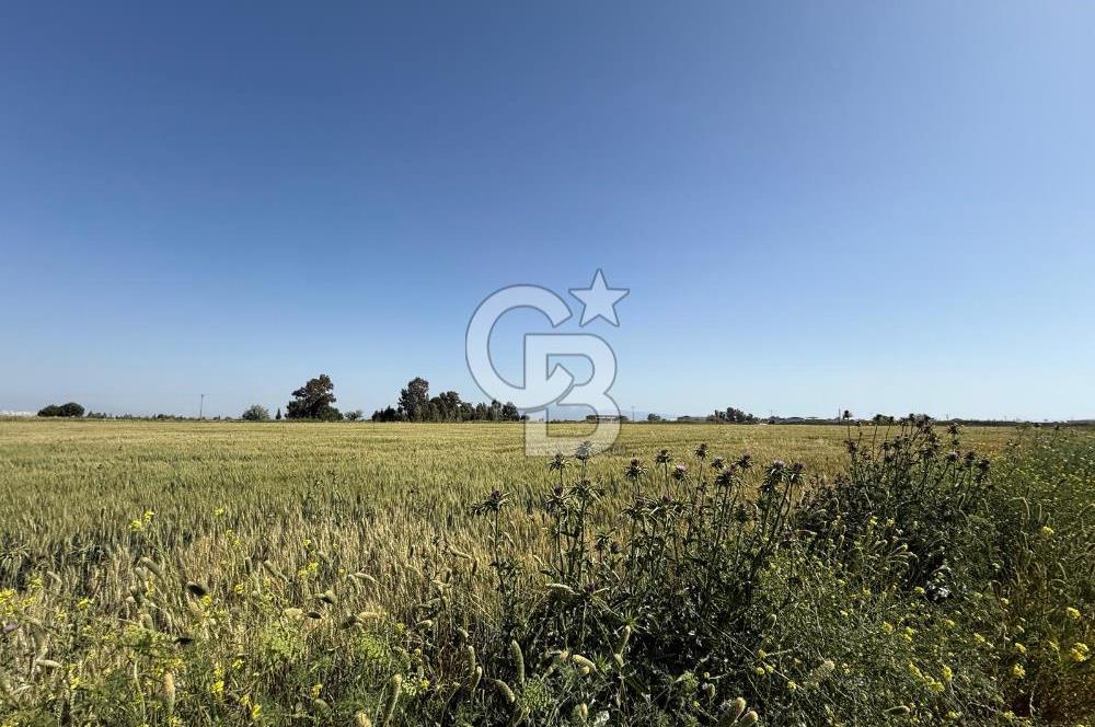 Menemen Tuzçullu 'ya 500 m İki Tarafı Yol Cepheli Fırsat Tarla