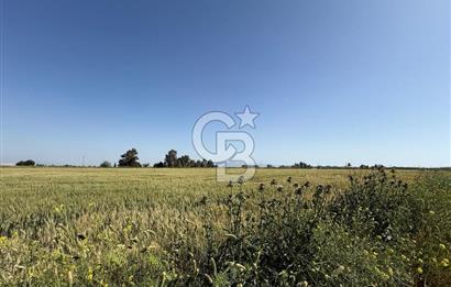 Menemen Tuzçullu 'ya 500 m İki Tarafı Yol Cepheli Fırsat Tarla