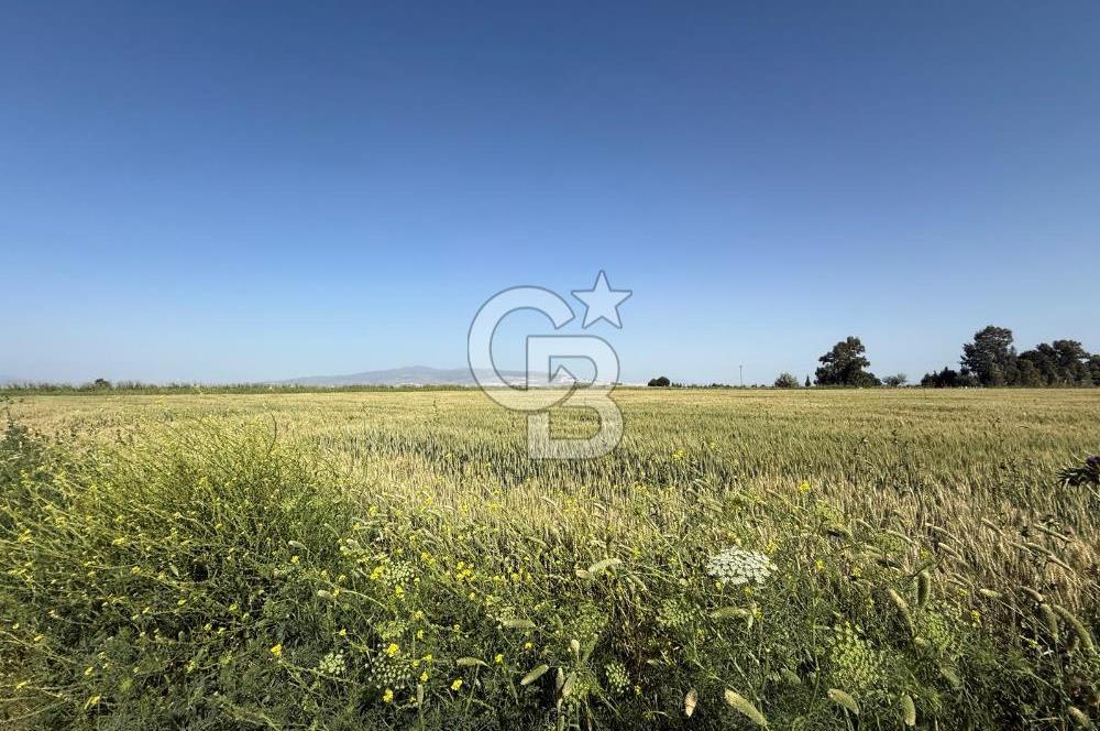 Menemen Tuzçullu 'ya 500 m İki Tarafı Yol Cepheli Fırsat Tarla
