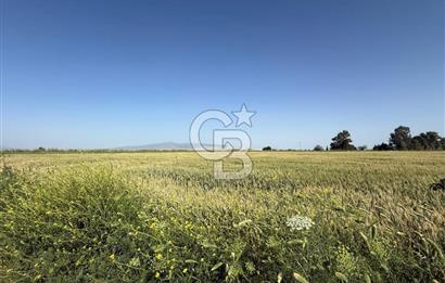 Menemen Tuzçullu 'ya 500 m İki Tarafı Yol Cepheli Fırsat Tarla