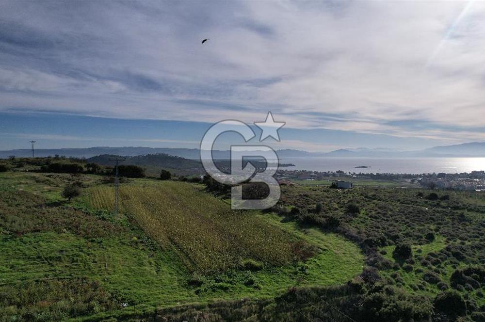 Egenin İncisi Çandarlı Merkezde Deniz Manzaralı Arsa