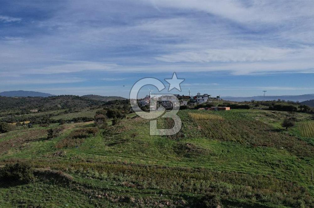 Egenin İncisi Çandarlı Merkezde Deniz Manzaralı Arsa