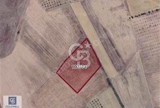 CB BLACK'TEN ACİL SATILIK UYGUN FİYATLI CUMAYA KADAR GEÇERLİ - 1 - 330425