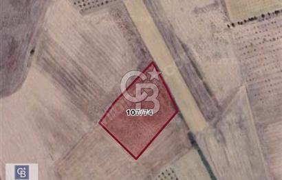 CB BLACK'TEN ACİL SATILIK UYGUN FİYATLI CUMAYA KADAR GEÇERLİ