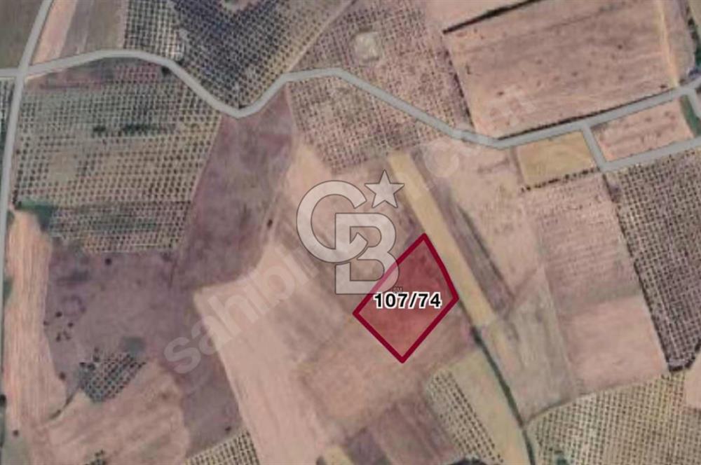 CB BLACK'TEN ACİL SATILIK UYGUN FİYATLI CUMAYA KADAR GEÇERLİ