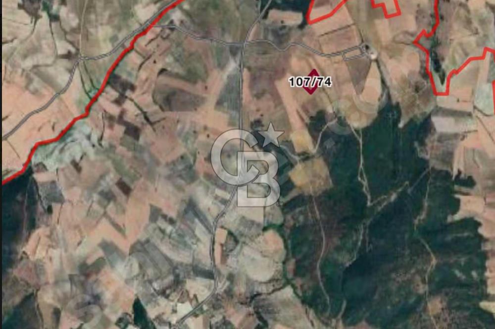 CB BLACK'TEN ACİL SATILIK UYGUN FİYATLI CUMAYA KADAR GEÇERLİ