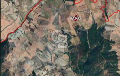 CB BLACK'TEN ACİL SATILIK UYGUN FİYATLI CUMAYA KADAR GEÇERLİ