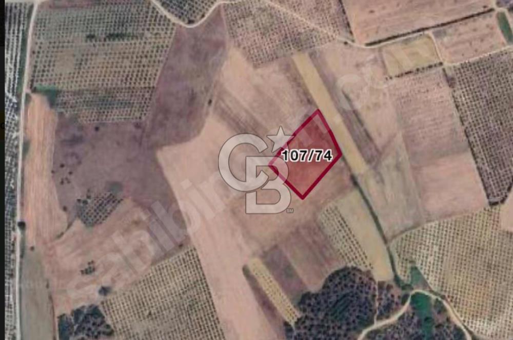 CB BLACK'TEN ACİL SATILIK UYGUN FİYATLI CUMAYA KADAR GEÇERLİ