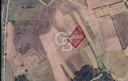 CB BLACK'TEN ACİL SATILIK UYGUN FİYATLI CUMAYA KADAR GEÇERLİ