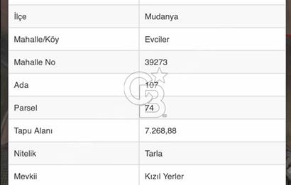 CB BLACK'TEN ACİL SATILIK UYGUN FİYATLI CUMAYA KADAR GEÇERLİ