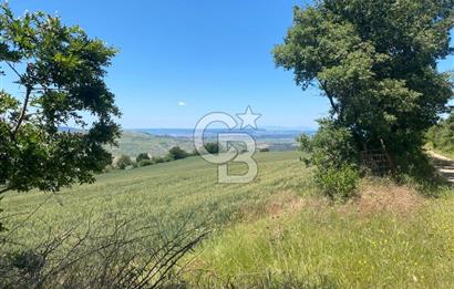 ÇANAKKALE YUKARIOKÇULAR SATILIK İMARLI ARSA TEK TAPU