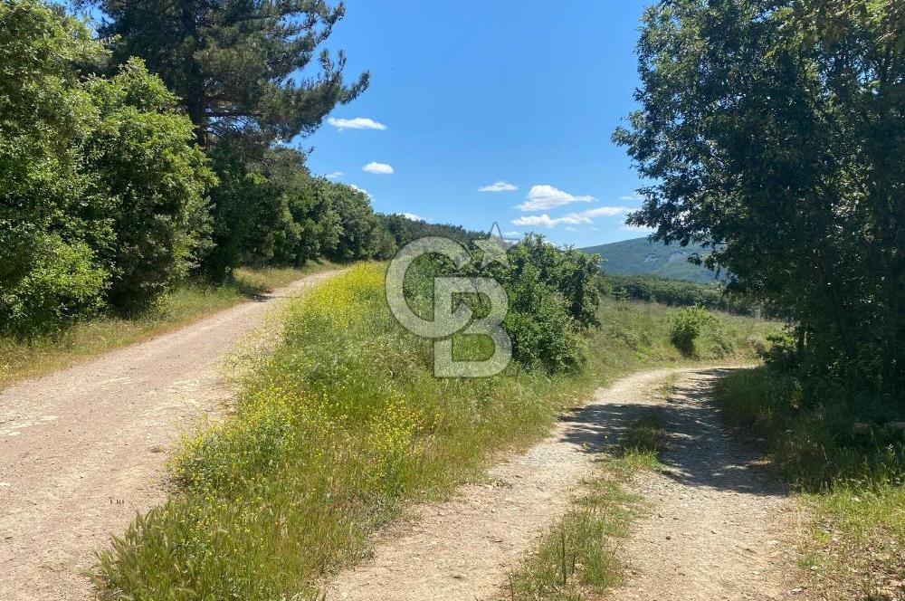 ÇANAKKALE YUKARIOKÇULAR SATILIK İMARLI ARSA TEK TAPU