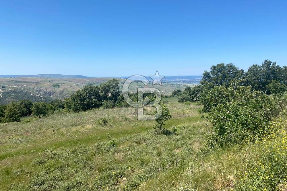 ÇANAKKALE YUKARIOKÇULAR SATILIK İMARLI ARSA TEK TAPU