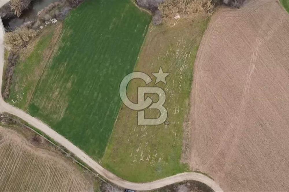 GEBİZ MACAR'DA TEK TAPULU TARLA 