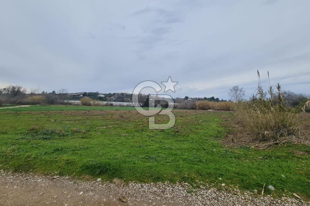 GEBİZ MACAR'DA TEK TAPULU TARLA 