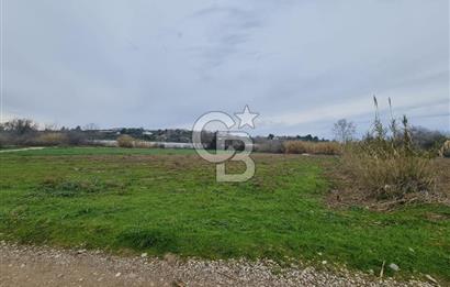 GEBİZ MACAR'DA TEK TAPULU TARLA 