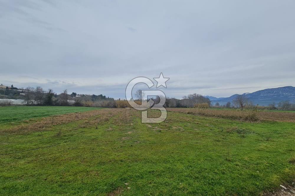 GEBİZ MACAR'DA TEK TAPULU TARLA 