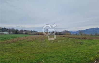 GEBİZ MACAR'DA TEK TAPULU TARLA 