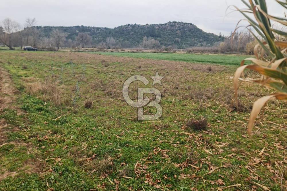 GEBİZ MACAR'DA TEK TAPULU TARLA 