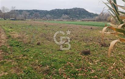 GEBİZ MACAR'DA TEK TAPULU TARLA 