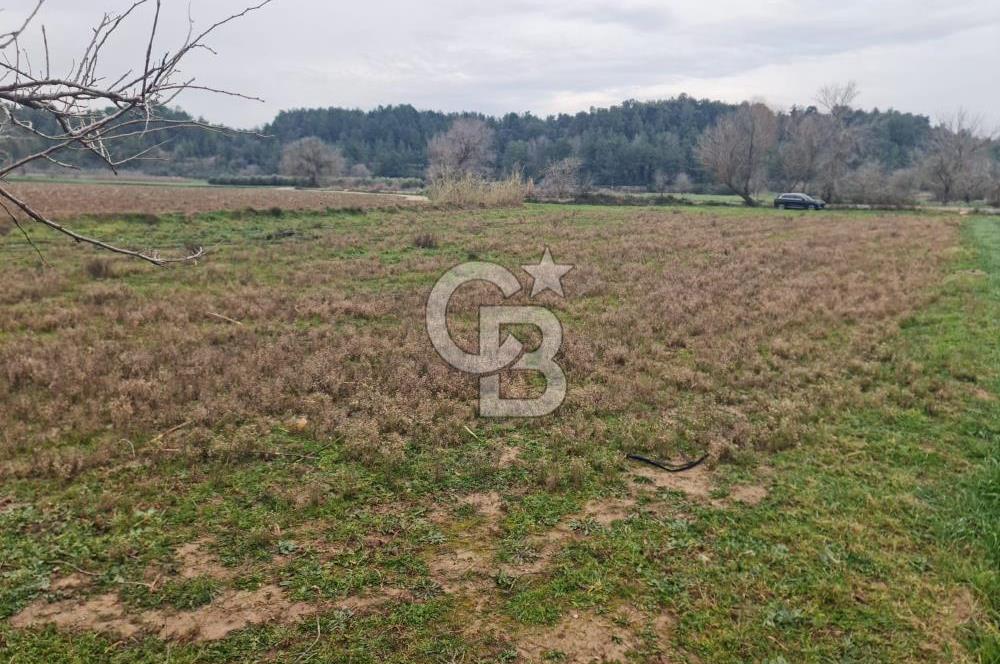 GEBİZ MACAR'DA TEK TAPULU TARLA 