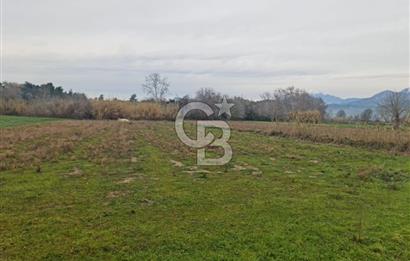 GEBİZ MACAR'DA TEK TAPULU TARLA 