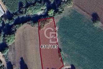 GEBİZ MACAR'DA TEK TAPULU TARLA  - 1 - 330444