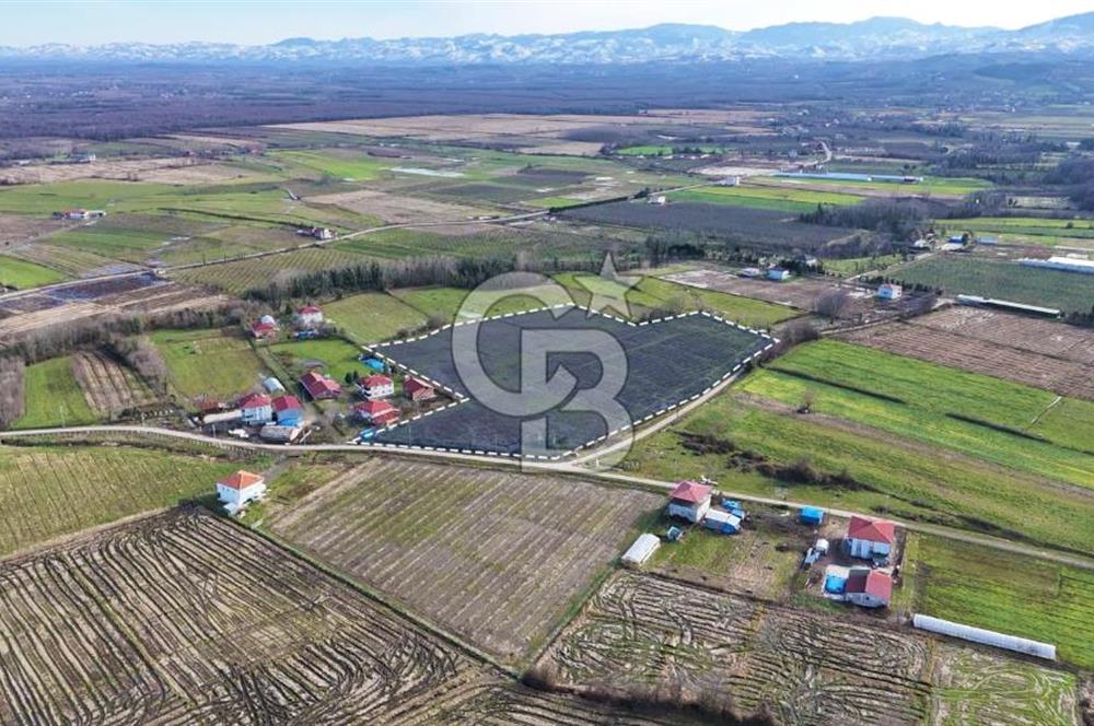 TAŞDEMİR YERLEŞİM MERKEZİNDE SATILIK TARLA