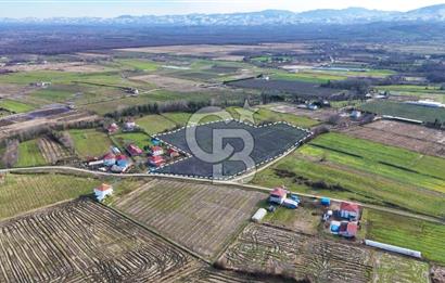 TAŞDEMİR YERLEŞİM MERKEZİNDE SATILIK TARLA