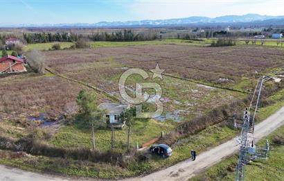 TAŞDEMİR YERLEŞİM MERKEZİNDE SATILIK TARLA