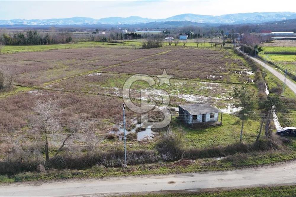 TAŞDEMİR YERLEŞİM MERKEZİNDE SATILIK TARLA