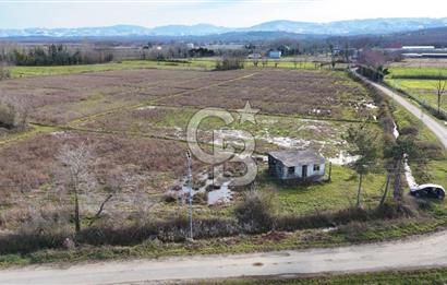 TAŞDEMİR YERLEŞİM MERKEZİNDE SATILIK TARLA