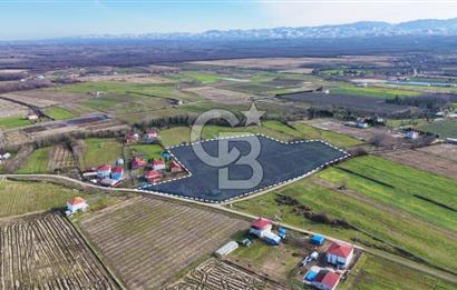 TAŞDEMİR YERLEŞİM MERKEZİNDE SATILIK TARLA