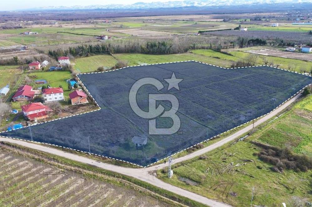 TAŞDEMİR YERLEŞİM MERKEZİNDE SATILIK TARLA