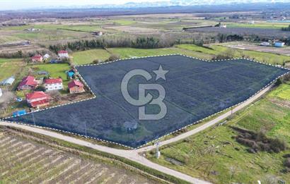 TAŞDEMİR YERLEŞİM MERKEZİNDE SATILIK TARLA