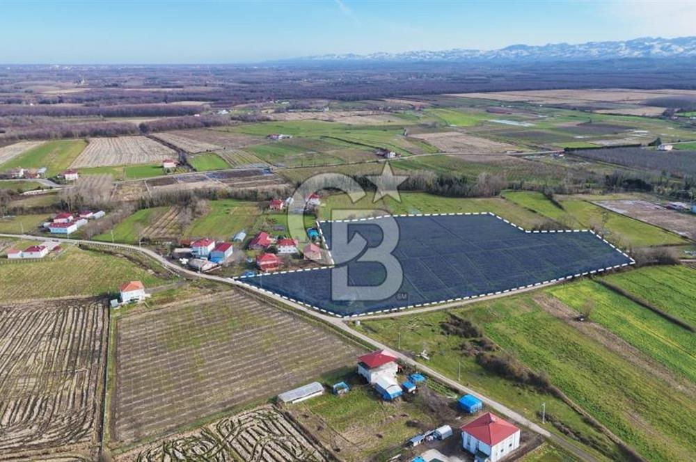 TAŞDEMİR YERLEŞİM MERKEZİNDE SATILIK TARLA