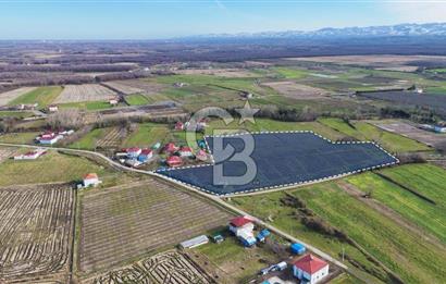 TAŞDEMİR YERLEŞİM MERKEZİNDE SATILIK TARLA