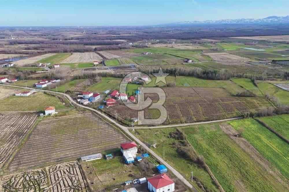 TAŞDEMİR YERLEŞİM MERKEZİNDE SATILIK TARLA