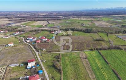 TAŞDEMİR YERLEŞİM MERKEZİNDE SATILIK TARLA