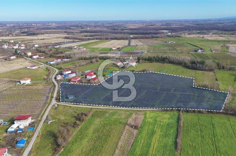 TAŞDEMİR YERLEŞİM MERKEZİNDE SATILIK TARLA