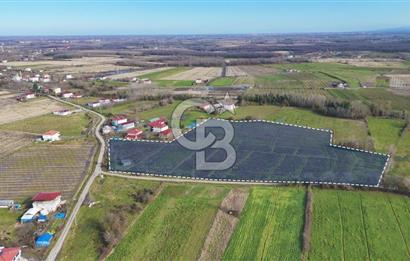 TAŞDEMİR YERLEŞİM MERKEZİNDE SATILIK TARLA