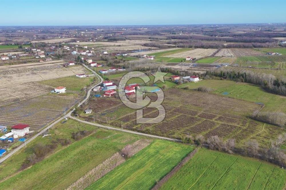 TAŞDEMİR YERLEŞİM MERKEZİNDE SATILIK TARLA